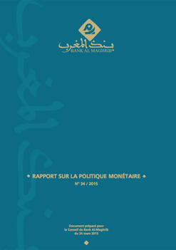 Rapport sur la politique monétaire - 2009