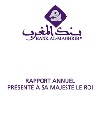 Rapport annuel 2003