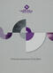 Financial statements of the bank 2012
