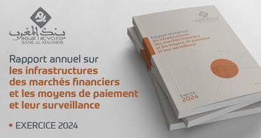 Rapport annuel sur les infrastructures des marchés financiers et les moyens de paiement et leur surveillance - Exercice 2024