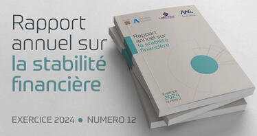 Rapport sur la stabilité financière - Exercice 2024