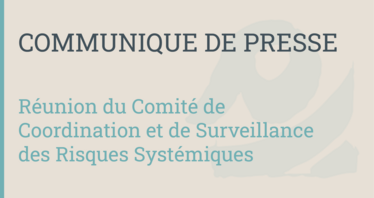 Vingt-deuxième réunion du Comité de Coordination et de Surveillance des Risques Systémiques