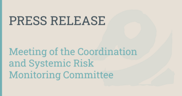 Twenty-second meeting of the Coordination and Systemic Risk Monitoring Committee