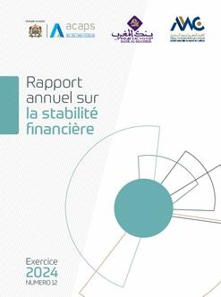 Rapport sur la stabilité financière - Exercice 2024