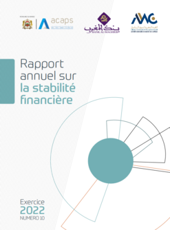 Rapport sur la stabilité financière - Exercice 2022