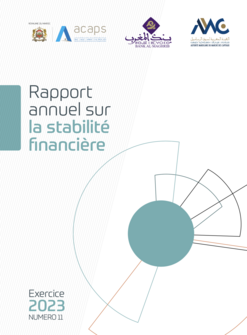 Rapport sur la stabilité financière - Exercice 2023