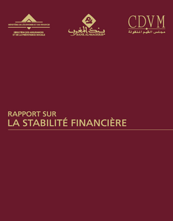 Rapport sur la stabilité financière - Exercice 2013