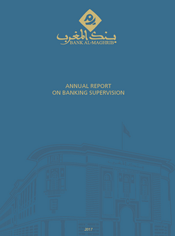 Annual report on banking supervision - 2017