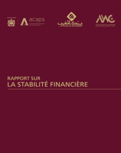 Rapport sur la stabilité financière - Exercice 2016