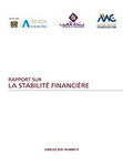 Rapport sur la stabilité financière - Exercice 2020