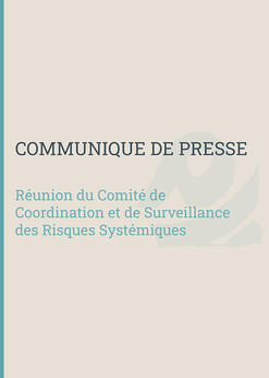 Réunion du Comité de Coordination et de Surveillance des Risques Systémiques - 2019