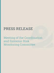 Meeting of the Coordination and Systemic Risk Monitoring Committee - 2024