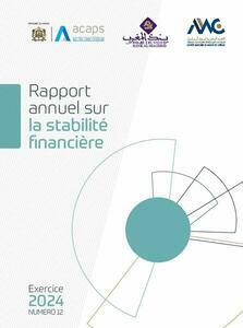 Rapport sur la stabilité financière - Exercice 2024