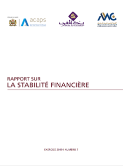 Rapport sur la stabilité financière - Exercice 2019